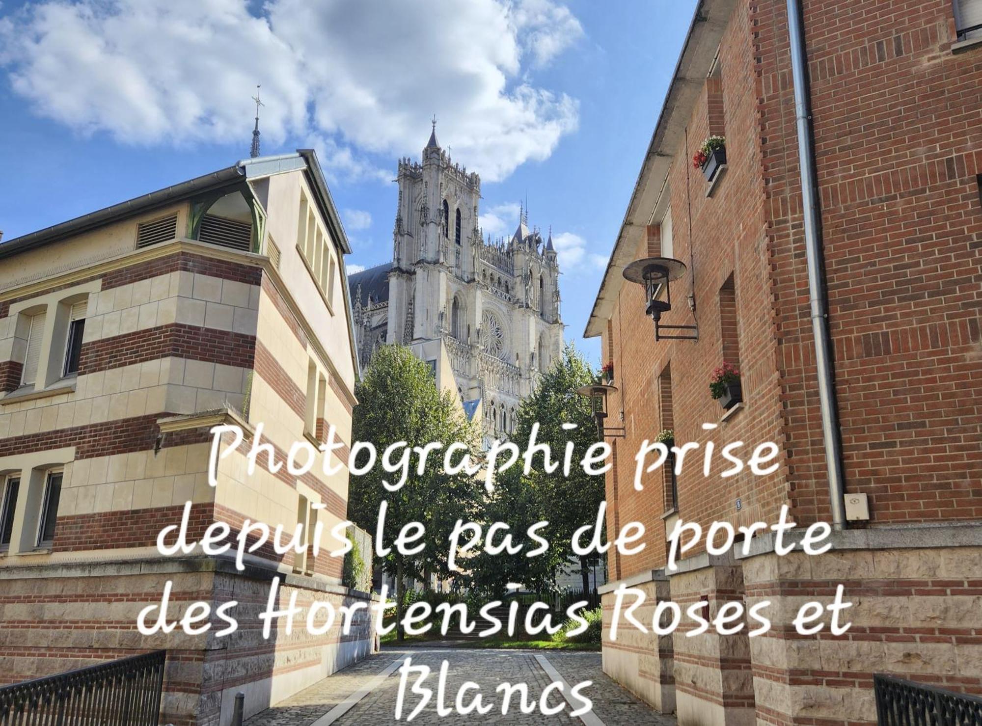 Les Hortensias Blancs Studio Amiens Exterior foto